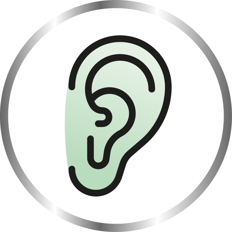 Ohren & Hörfunktion