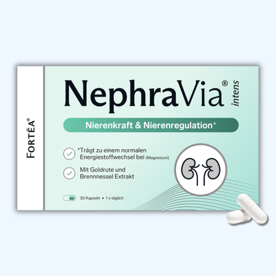 NephraVia® intens - Nierenkraft & Nierenregulation