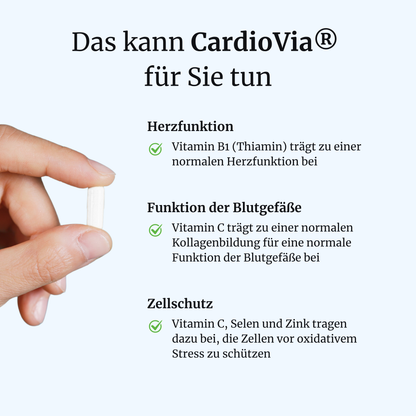 CardioVia intens – Herz & Gefäße