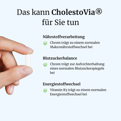 CholestoVia® intens – Blutfette & Cholesterin