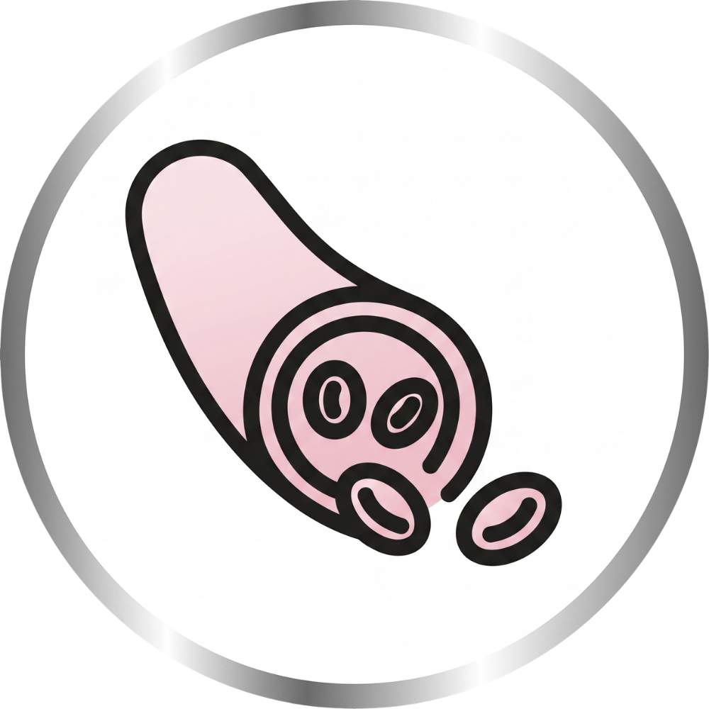 Blutfette & Cholesterin