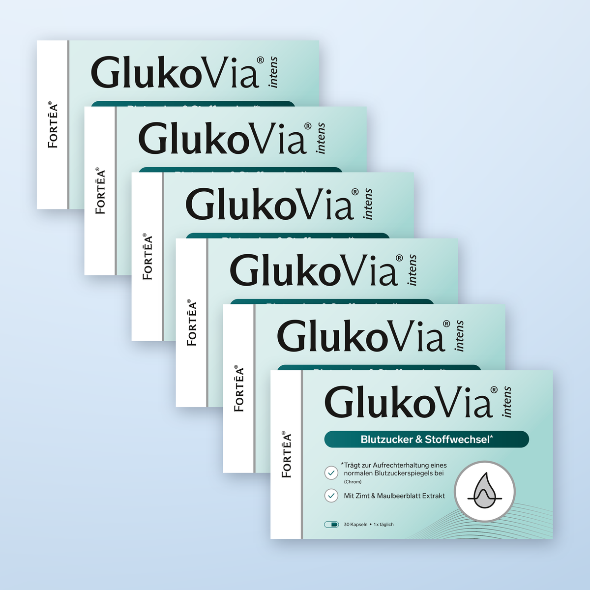 GlukoVia® intens – Blutzucker & Stoffwechsel