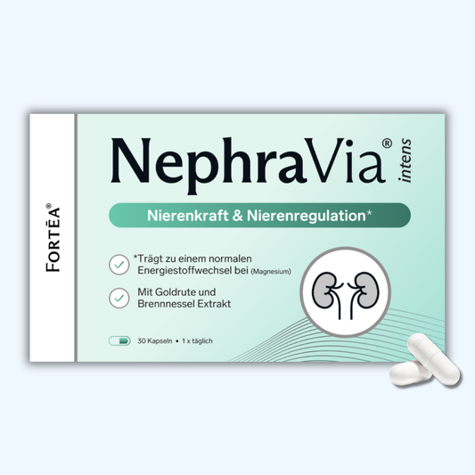 NephraVia® intens - Nierenkraft & Nierenregulation