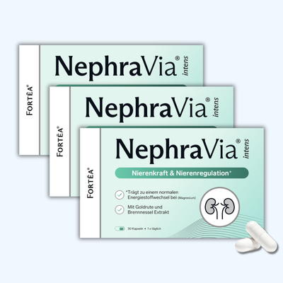 NephraVia® intens - Nierenkraft & Nierenregulation
