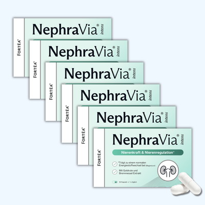 NephraVia® intens - Nierenkraft & Nierenregulation