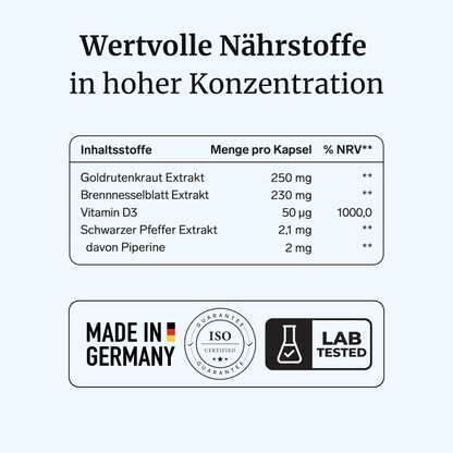 NephraVia® intens - Nierenkraft & Nierenregulation