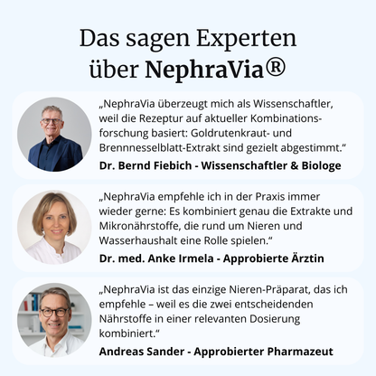 NephraVia® intens – Nierenkraft & Nierenregulation