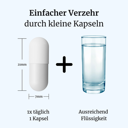 ThyroVia® intens – Schilddrüse & Stoffwechsel